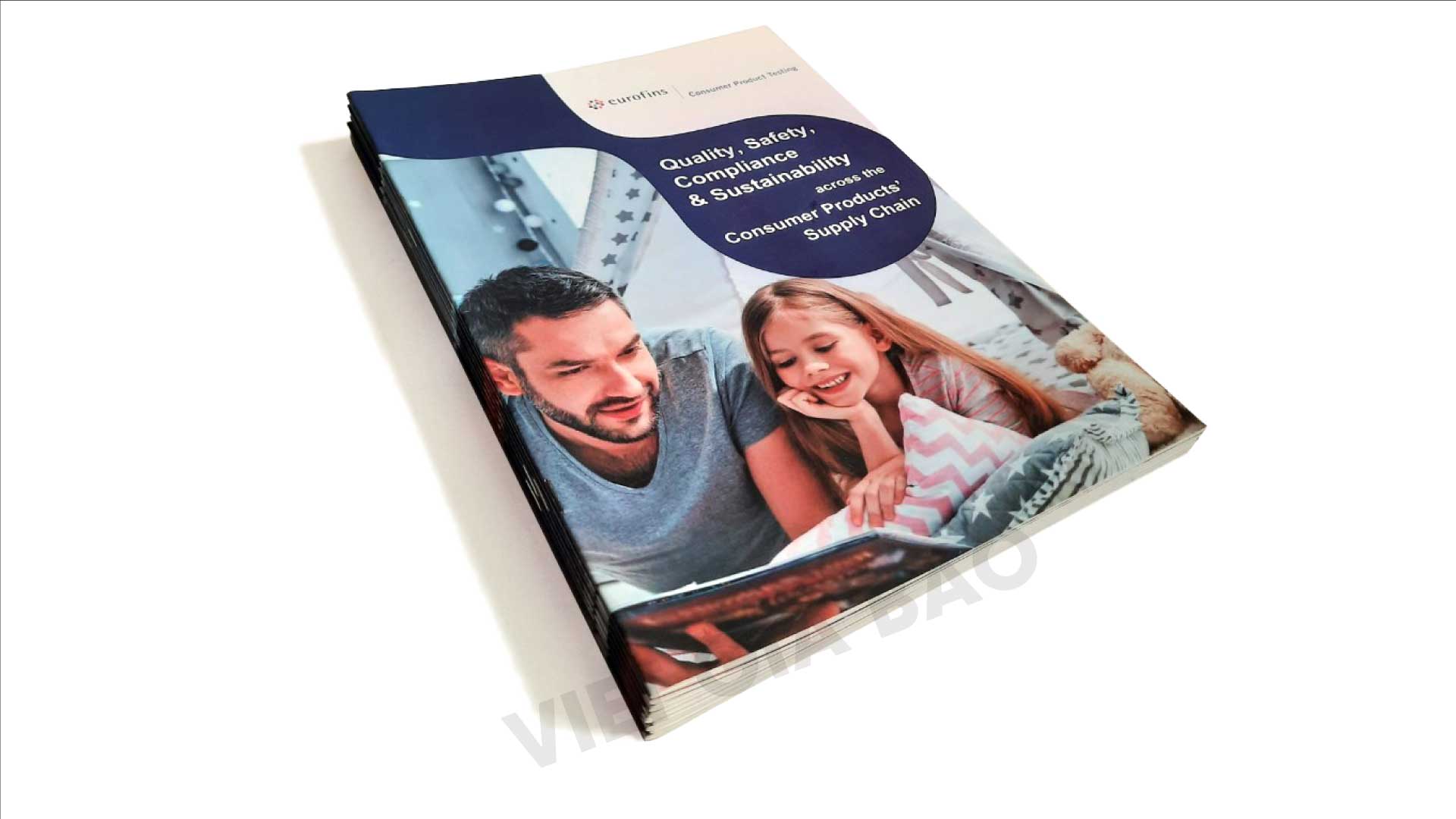 thiết kế in ấn catalogue lấy liền